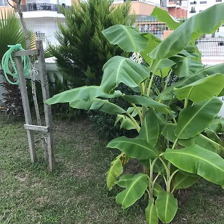 Apartmanhotel Bayar Homes City *