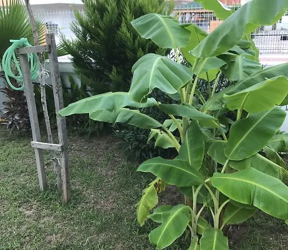 Aparthotel Bayar Homes City *