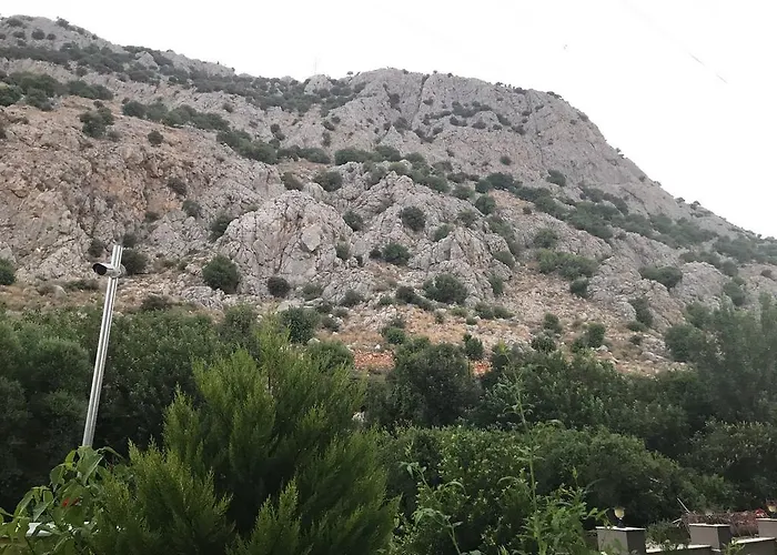 Bayar Homes City * Antalya